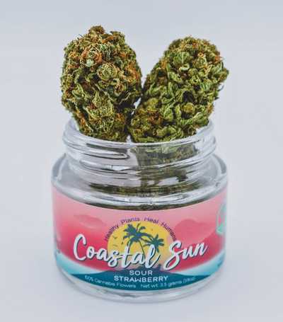 Coastal Sun - Sour Strawberry (Eighth)